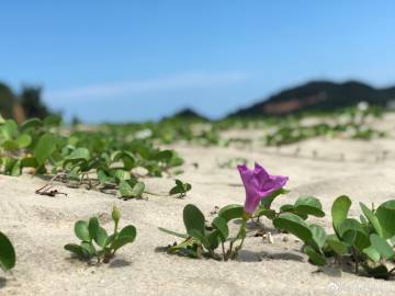 井冈山红色旅游教育基地有哪些_江西井冈山除了革命基地还有什么旅游景点？